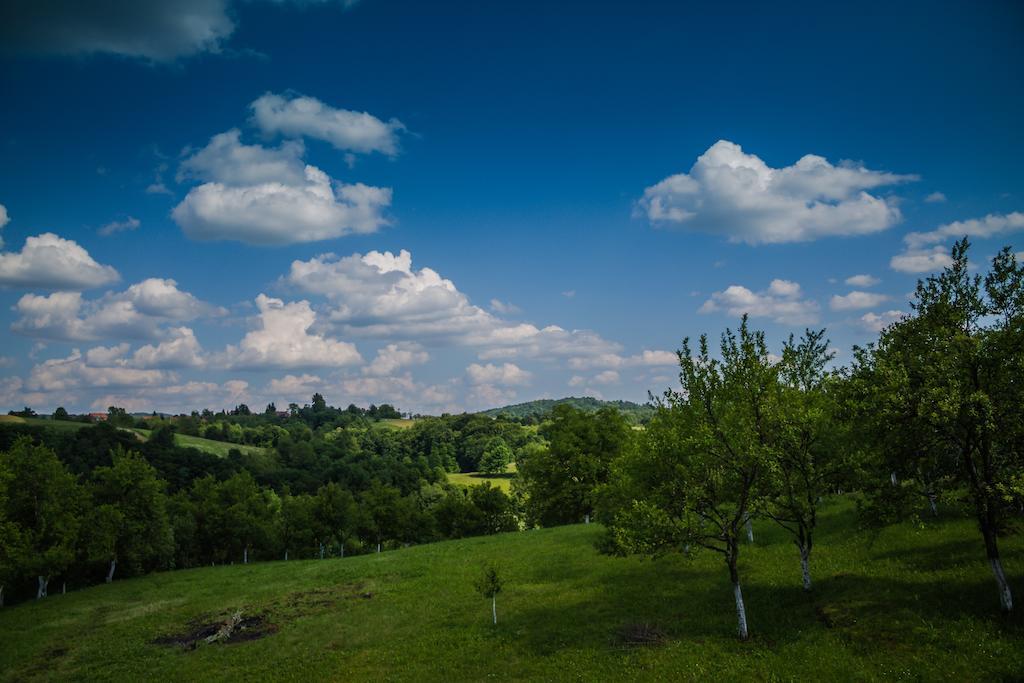 Guest House Tena Szluin Kültér fotó