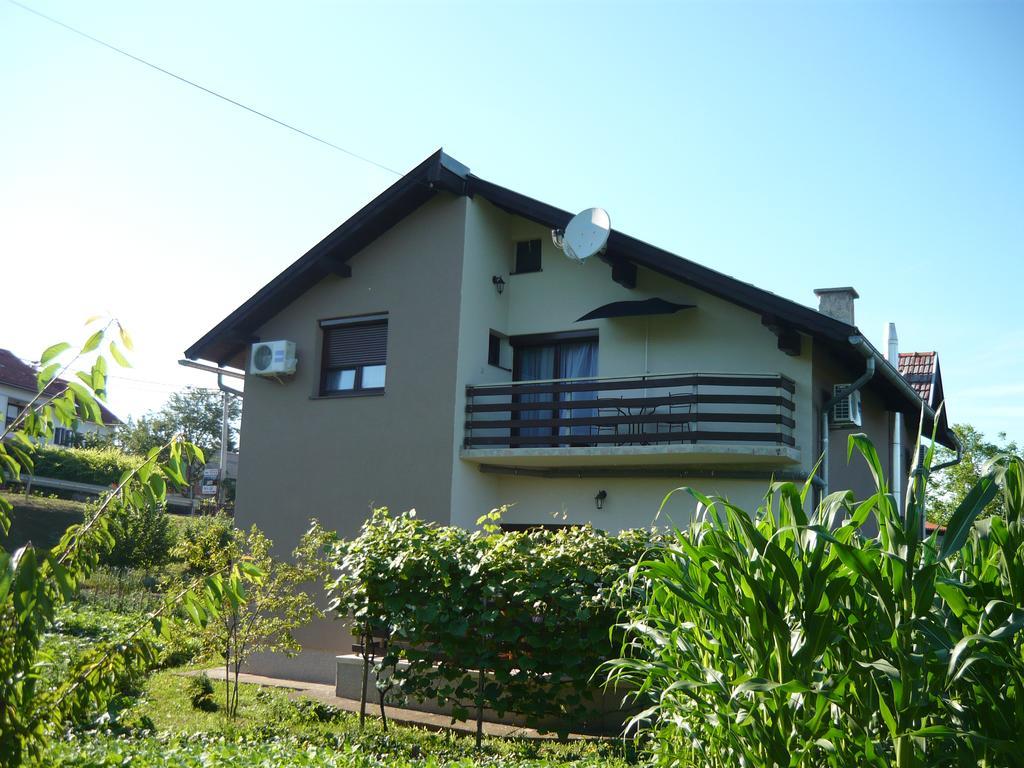 Guest House Tena Szluin Kültér fotó